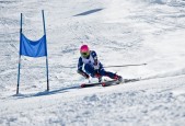 2026国际足联世界杯-网坛铁血与团队荣耀，莎拉波娃十场连胜碾压防线，塞尔维亚队极限冲锋